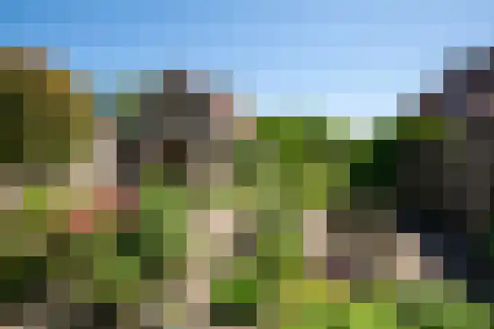 Driewegenweg 31 Putten thumbnail 29