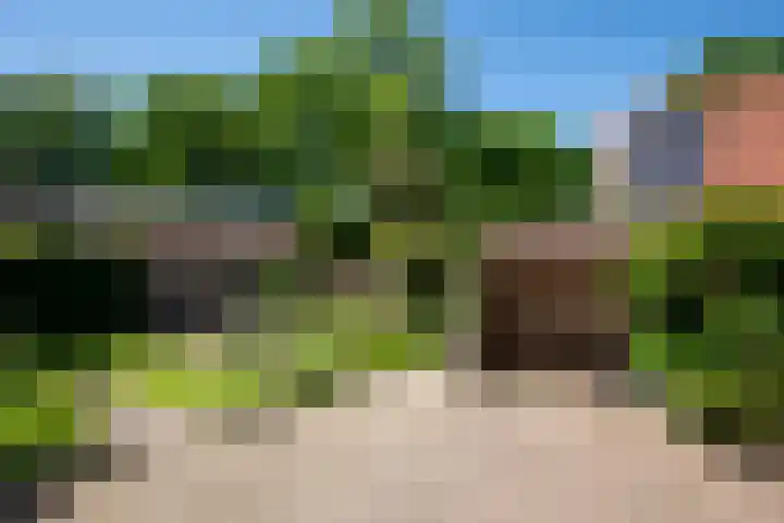Driewegenweg 31 Putten thumbnail 31