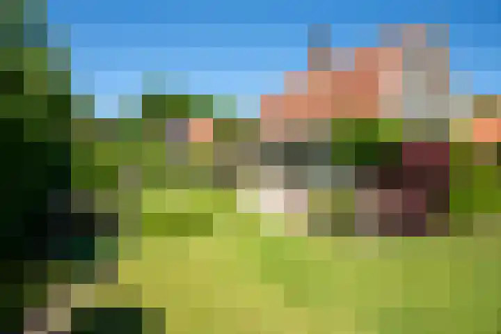 Driewegenweg 31 Putten thumbnail 32