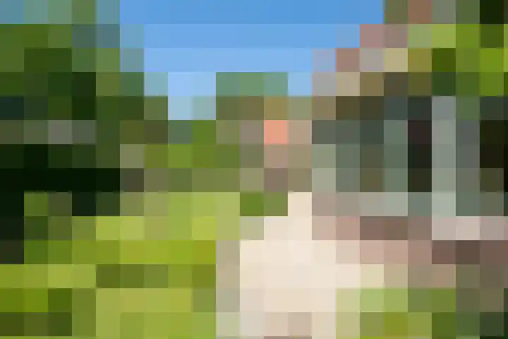 Driewegenweg 31 Putten thumbnail 33