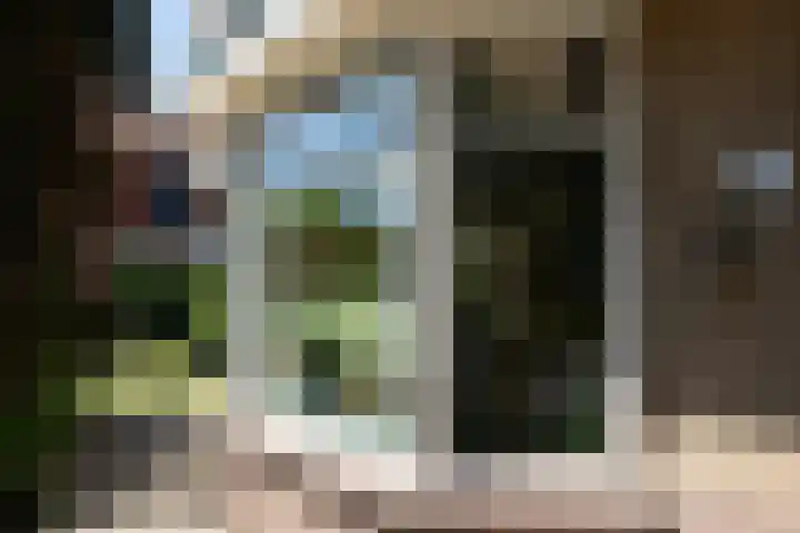 Driewegenweg 31 Putten thumbnail 6