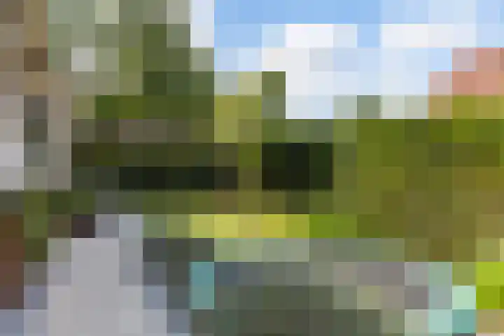 Driewegenweg 33 Putten thumbnail 20