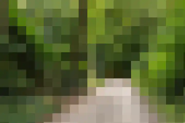 Driewegenweg 33 Putten thumbnail 40