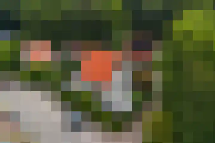 Driewegenweg 33 Putten thumbnail 43