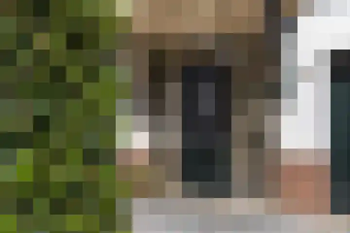 Driewegenweg 33 Putten thumbnail 5