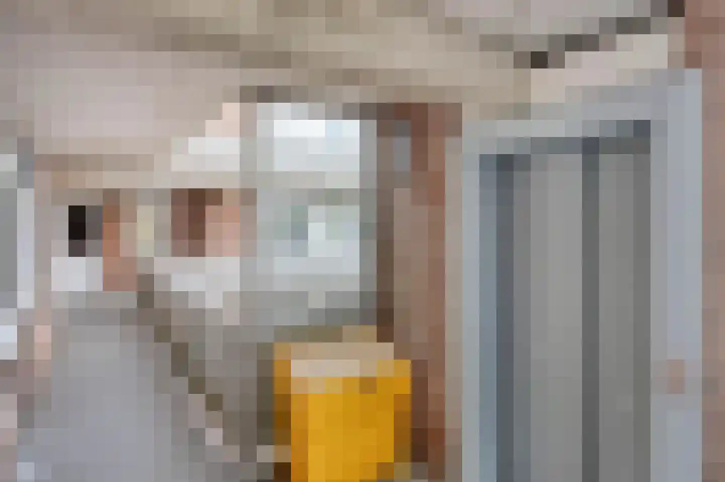 Driewegplein 38 Gouda thumbnail 37