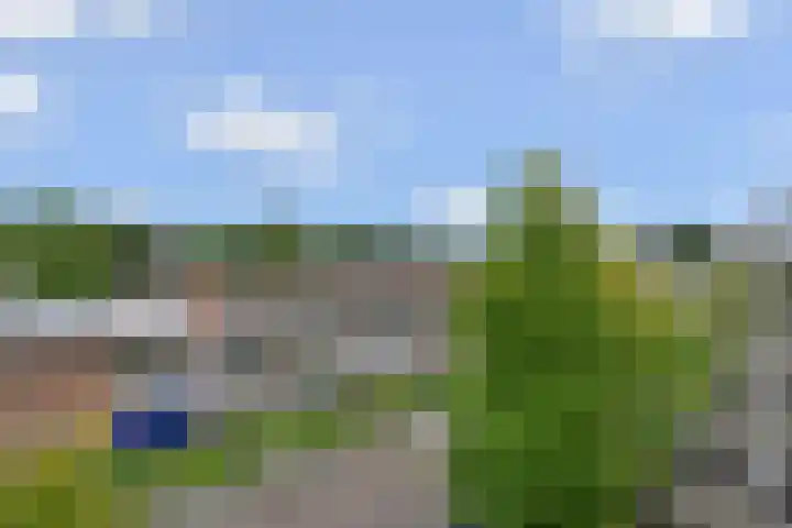 Driewegplein 62 Gouda thumbnail 32