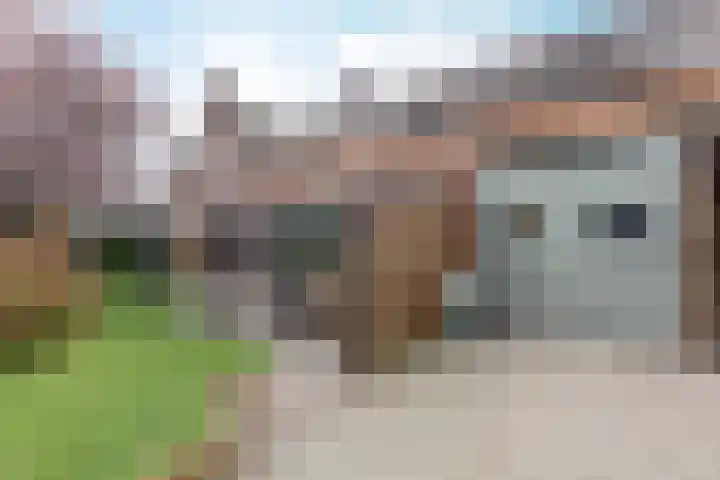 Driezeeg 25 Berlicum thumbnail 13