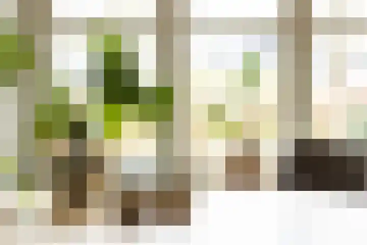 Driezeeg 25 Berlicum thumbnail 19