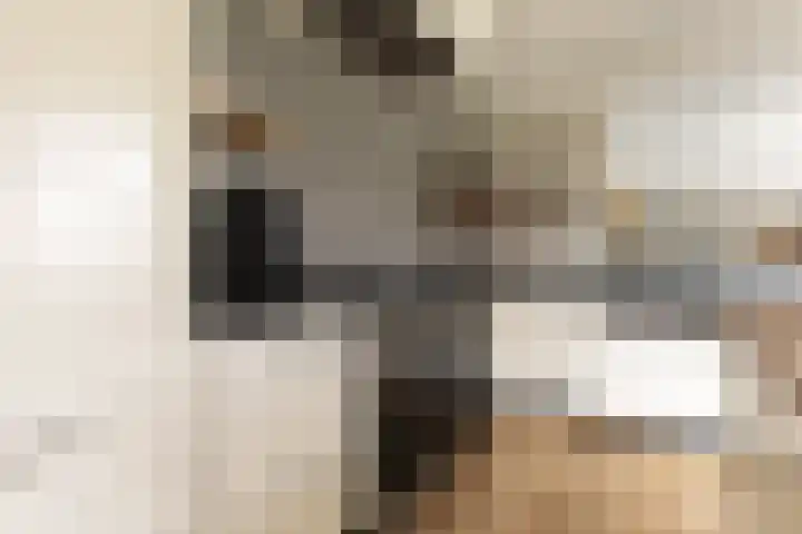 Driezeeg 25 Berlicum thumbnail 20