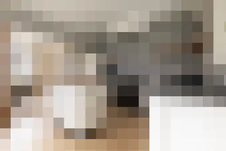 Driezeeg 25 Berlicum thumbnail 21