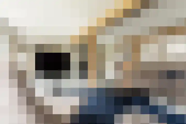 Driezeeg 25 Berlicum thumbnail 29
