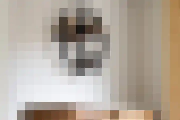 Driezeeg 25 Berlicum thumbnail 31