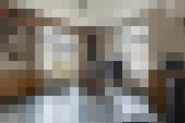 Driezeeg 25 Berlicum thumbnail 32
