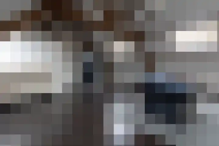Driezeeg 25 Berlicum thumbnail 38