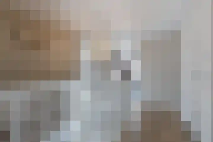 Driezeeg 25 Berlicum thumbnail 43
