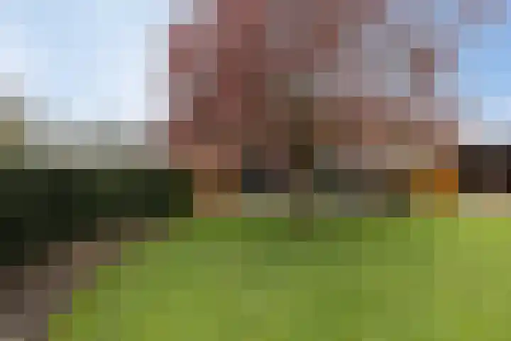 Driezeeg 25 Berlicum thumbnail 5