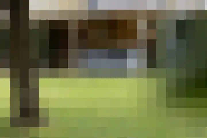 Driezeeg 25 Berlicum thumbnail 55