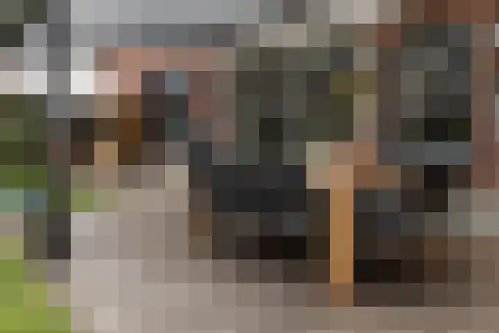 Driezeeg 25 Berlicum thumbnail 6