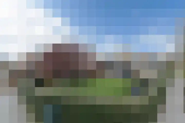 Driezeeg 25 Berlicum thumbnail 9