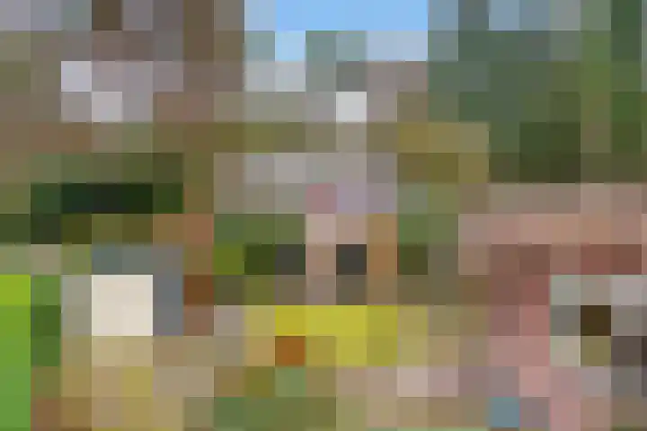 Drift 17 Doorn thumbnail 31