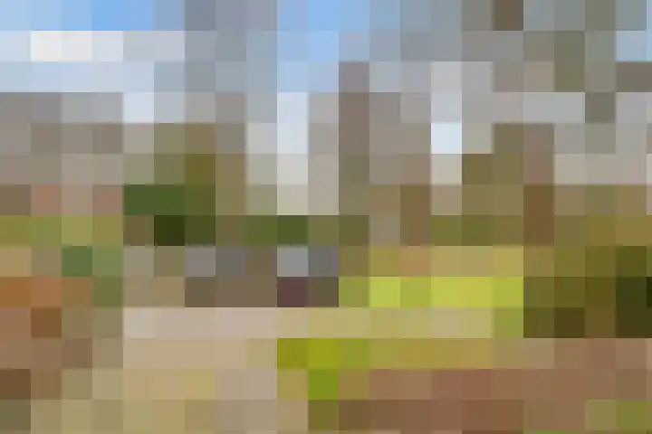 Drift 17 Doorn thumbnail 43