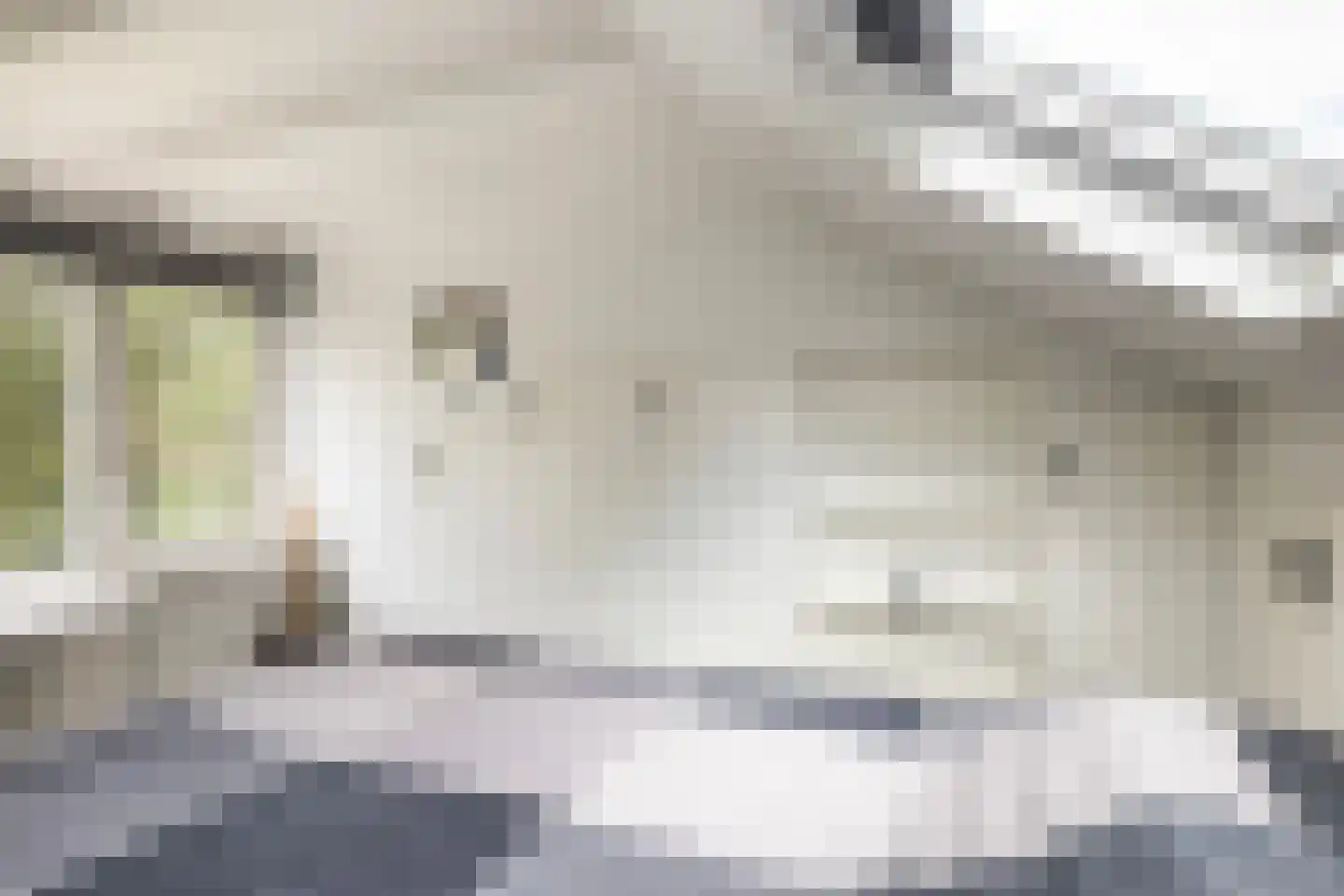 Drift 19 Doorn thumbnail 36