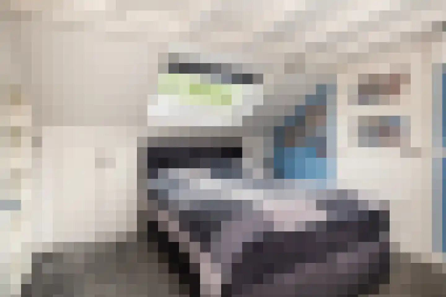 Drift 19 Doorn thumbnail 38