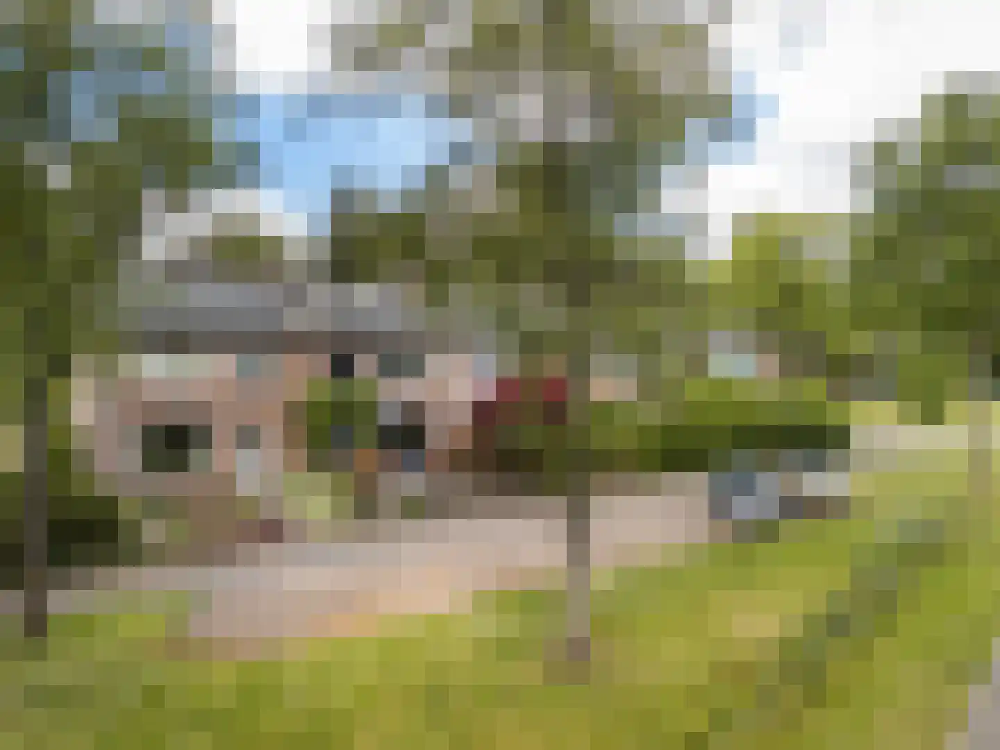 Drift 19 Doorn thumbnail 5
