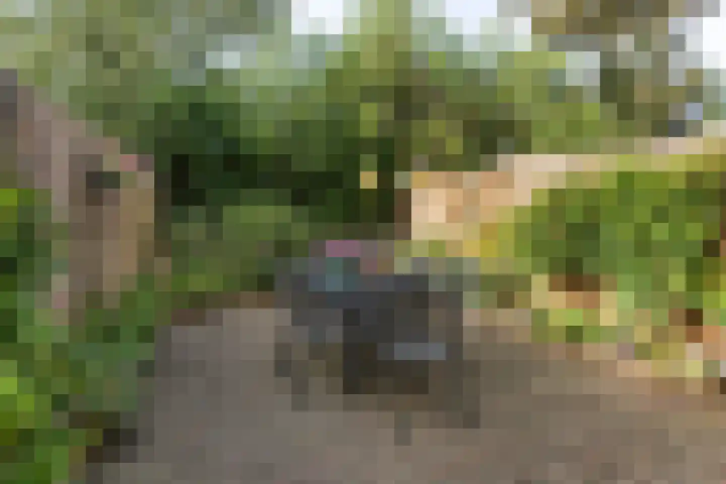 Drift 3 Bilthoven thumbnail 28