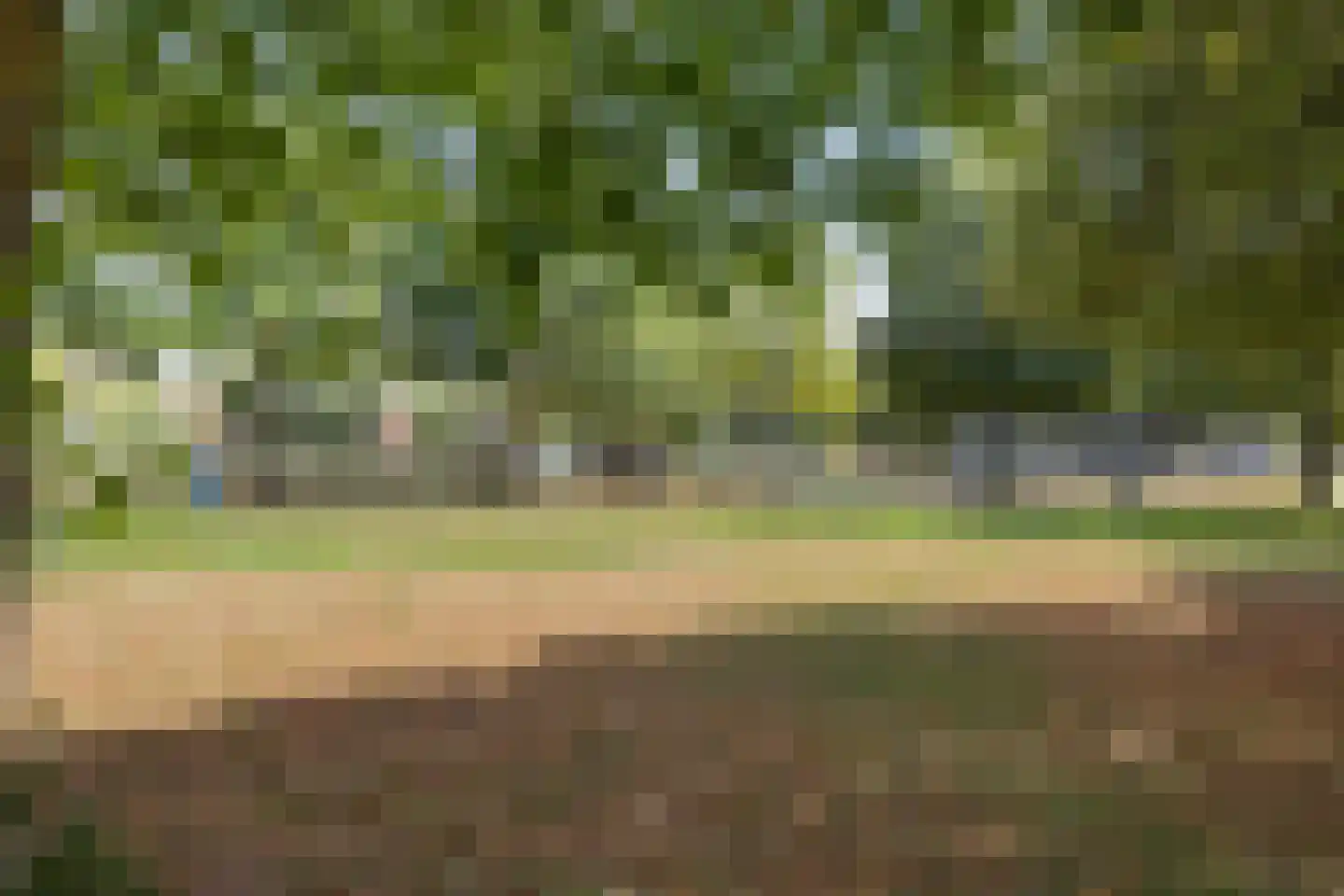 Drift 30 Zuidwolde thumbnail 37