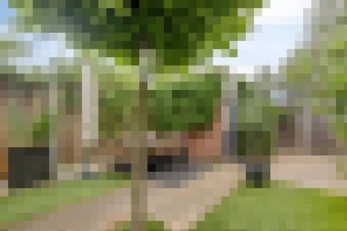 Drift 5 Warnsveld thumbnail 12