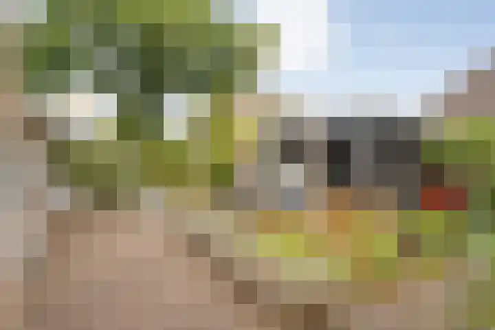 Drift 5 Zuidwolde thumbnail 44
