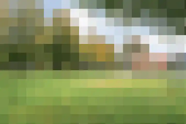 Drift 5 Zuidwolde thumbnail 51