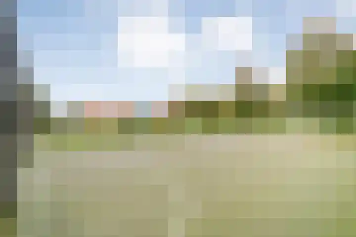 Drift 5 Zuidwolde thumbnail 52