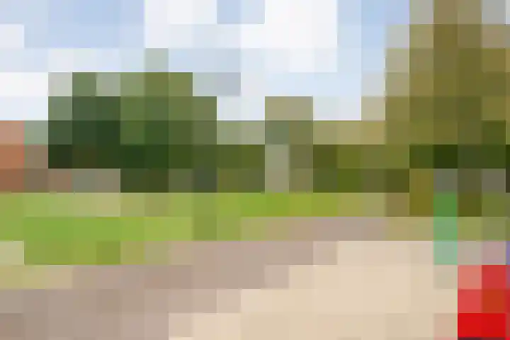 Drift 5 Zuidwolde thumbnail 54