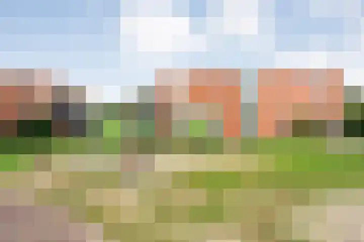 Drift 5 Zuidwolde thumbnail 55