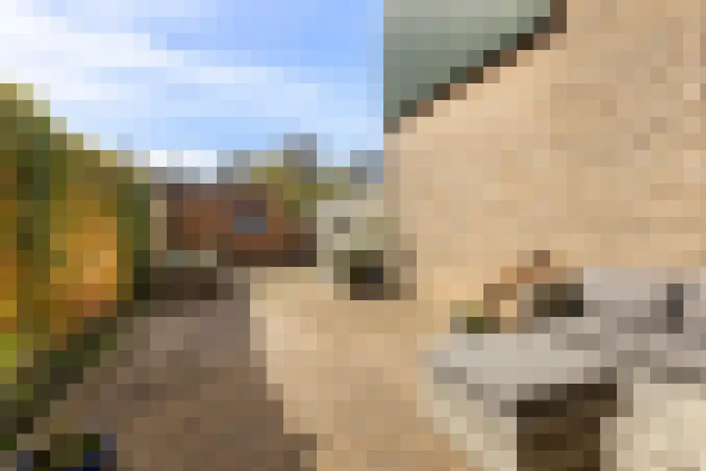 Drift 9 Zuidhorn thumbnail 27
