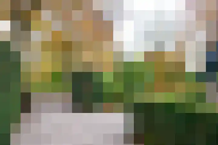 Driftlaan 1 Laren thumbnail 31