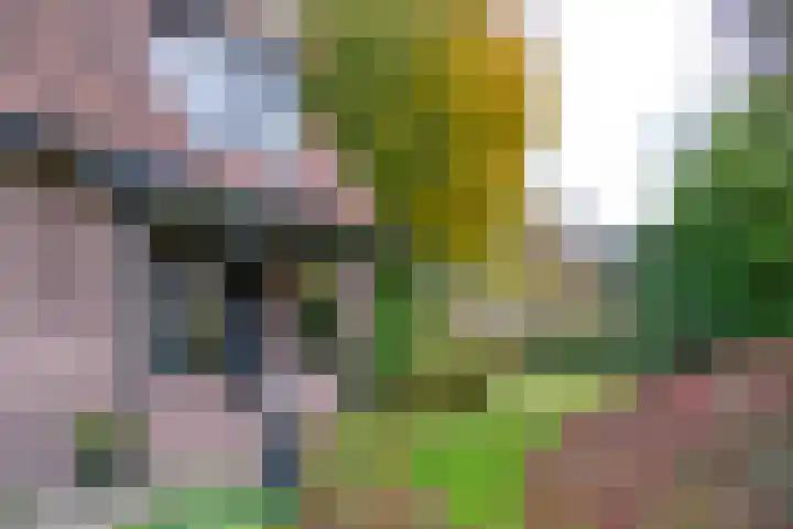 Driftlaan 1 Laren thumbnail 34