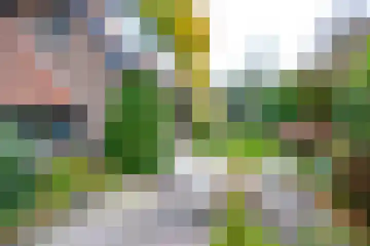 Driftlaan 1 Laren thumbnail 4