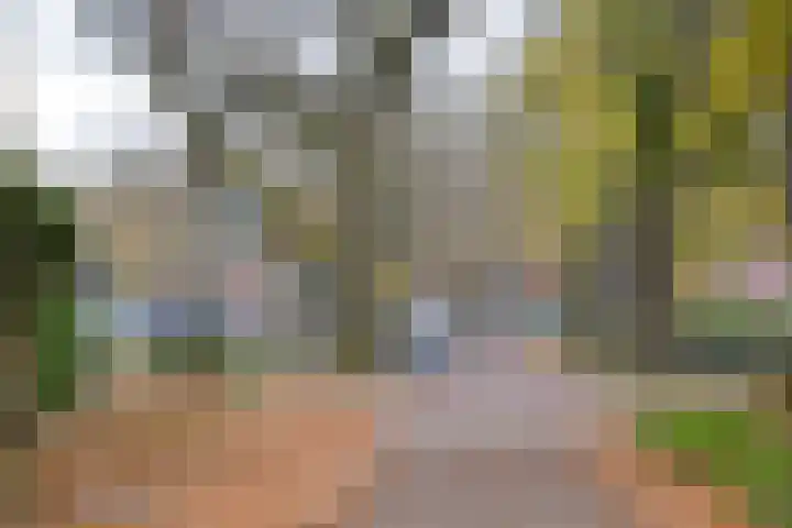 Driftlaan 1 Laren thumbnail 41