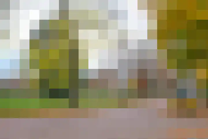 Driftlaan 1 Laren thumbnail 42