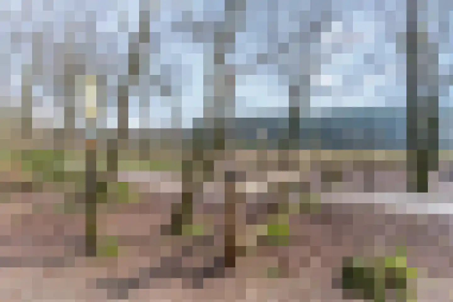 Driftweg 21 Elst Ut thumbnail 33