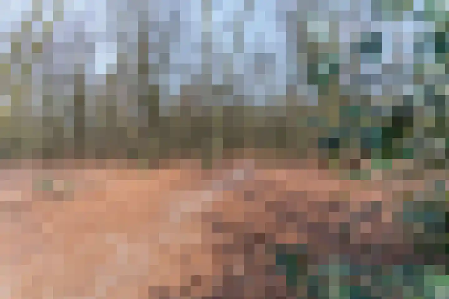 Driftweg 21 Elst Ut thumbnail 34