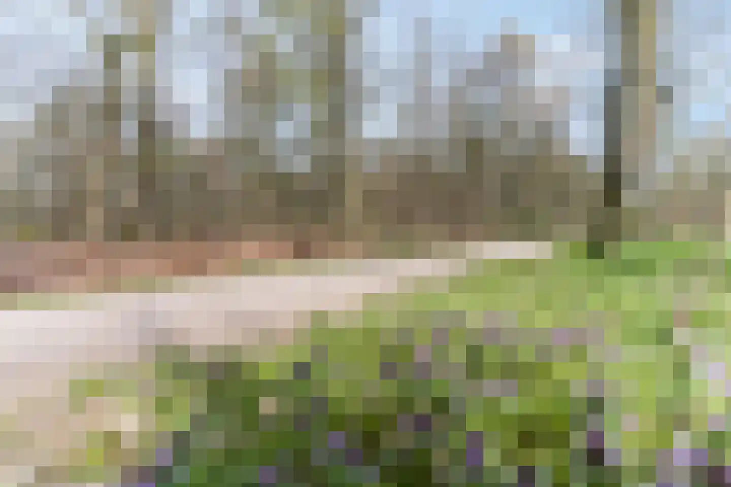 Driftweg 21 Elst Ut thumbnail 35