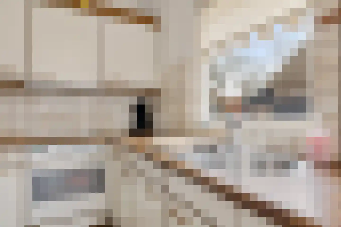 Driftweg 3 Meppen thumbnail 12
