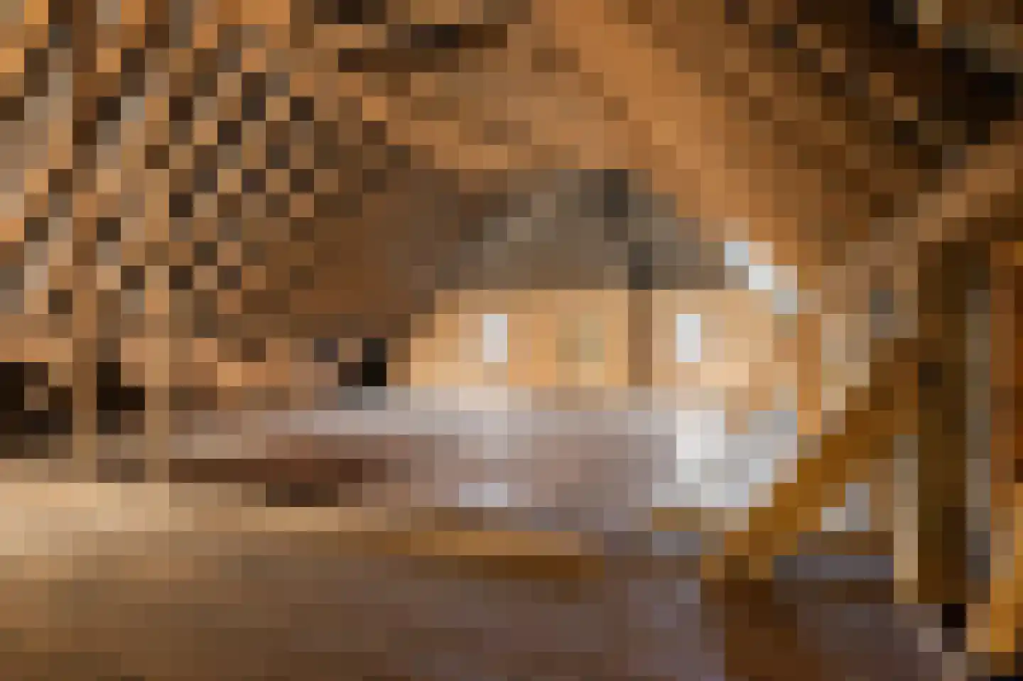 Driftweg 3 Meppen thumbnail 30