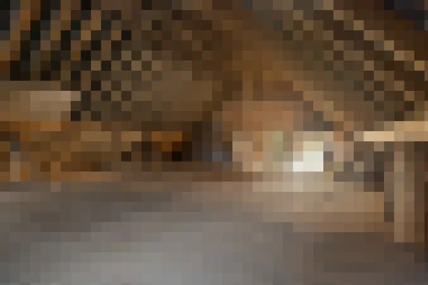 Driftweg 3 Meppen thumbnail 31