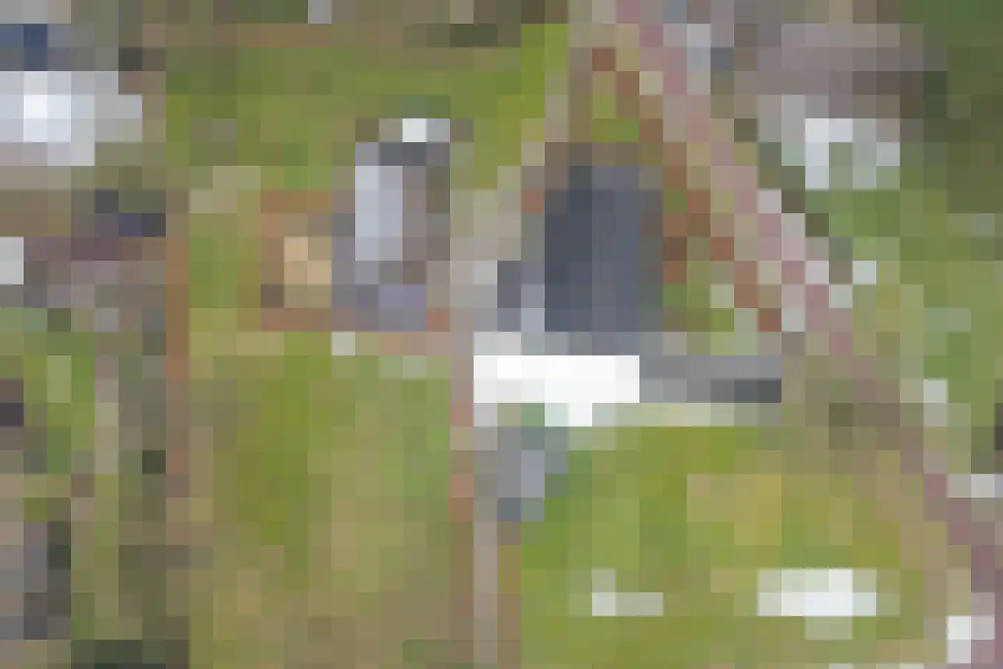 Driftweg 3 Meppen thumbnail 39
